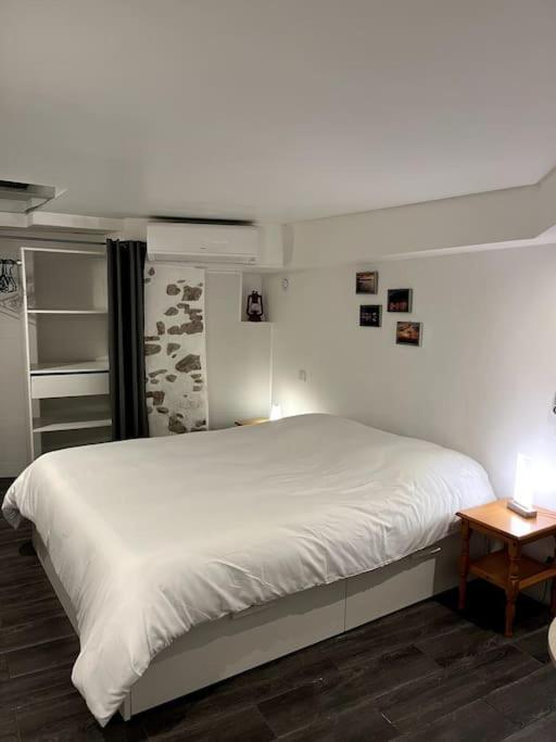 Appartement Climatise Albi - Centre Екстер'єр фото